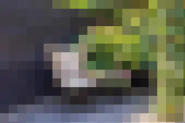 Vechtsteen 35 Wijk bij Duurstede thumbnail 23