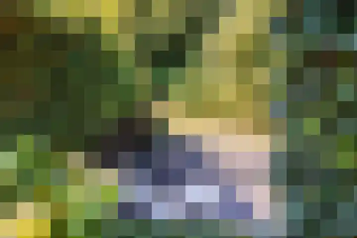 Vechtsteen 35 Wijk bij Duurstede thumbnail 24