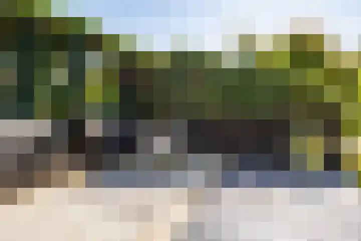 Vechtsteen 35 Wijk bij Duurstede thumbnail 25