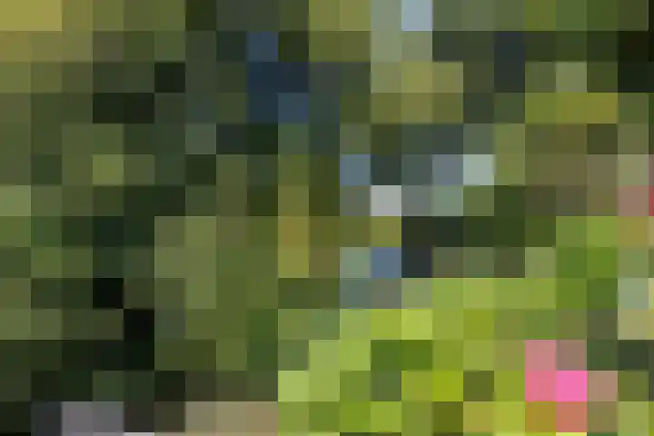 Vechtsteen 35 Wijk bij Duurstede thumbnail 28