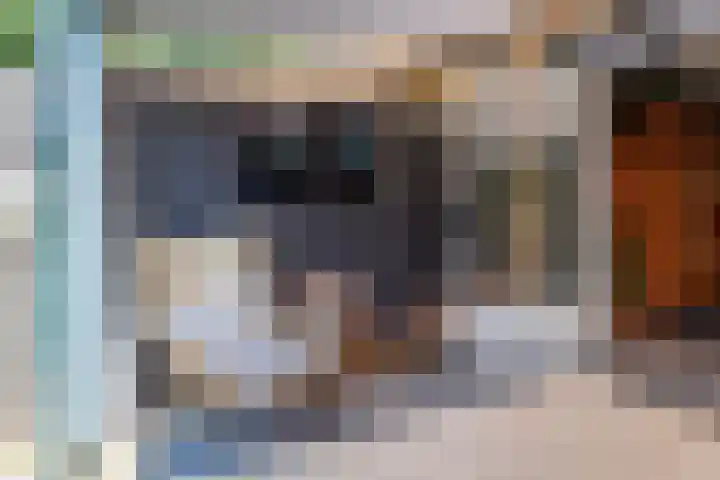 Vechtsteen 35 Wijk bij Duurstede thumbnail 30