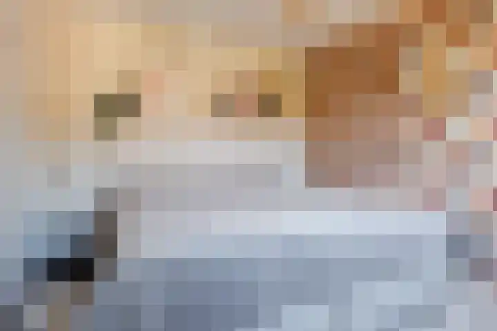 Vechtsteen 35 Wijk bij Duurstede thumbnail 31