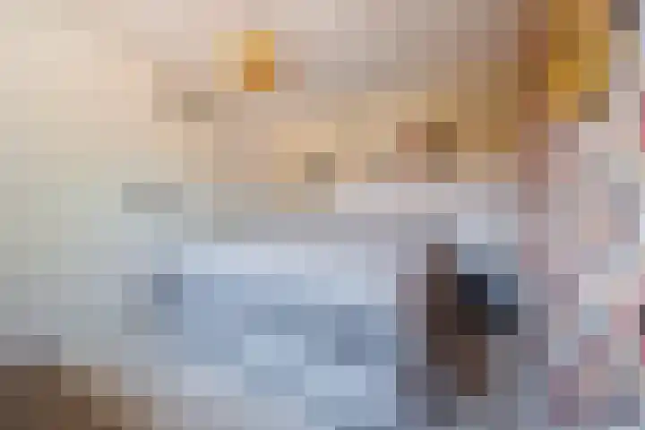 Vechtsteen 35 Wijk bij Duurstede thumbnail 32