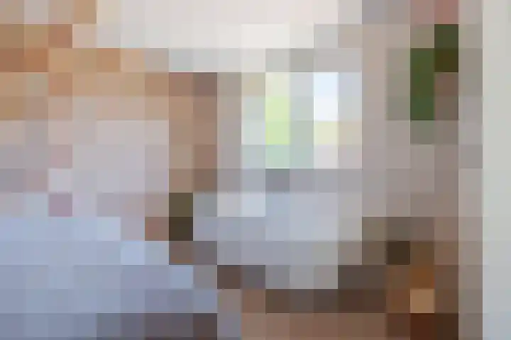 Vechtsteen 35 Wijk bij Duurstede thumbnail 34