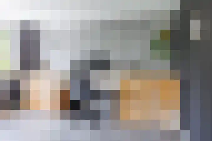 Vechtsteen 35 Wijk bij Duurstede thumbnail 36