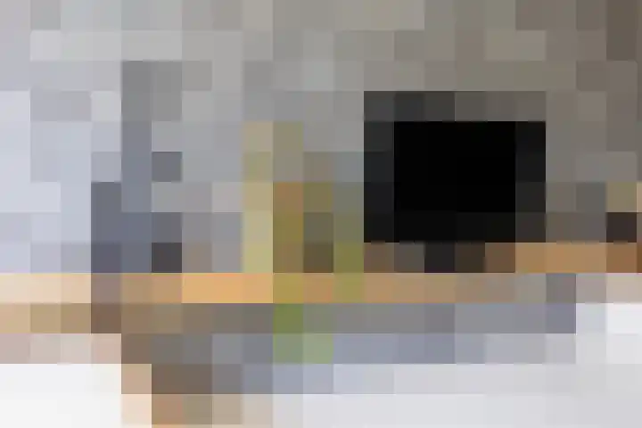 Vechtsteen 35 Wijk bij Duurstede thumbnail 39