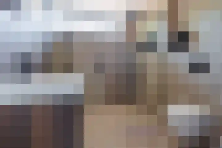 Vechtsteen 35 Wijk bij Duurstede thumbnail 40