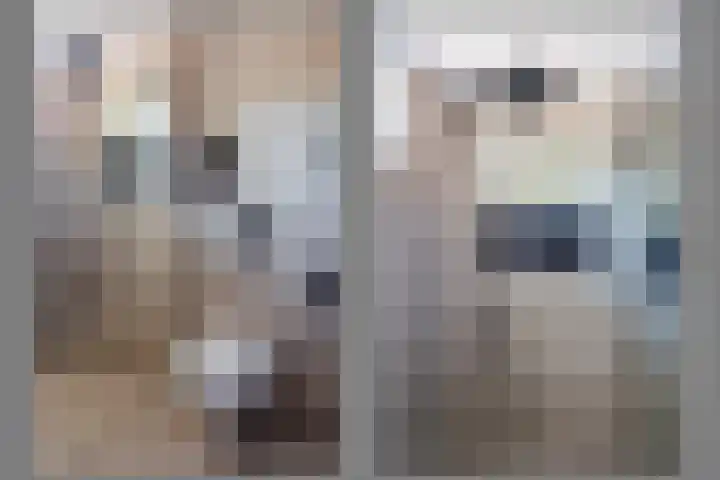 Vechtsteen 35 Wijk bij Duurstede thumbnail 42