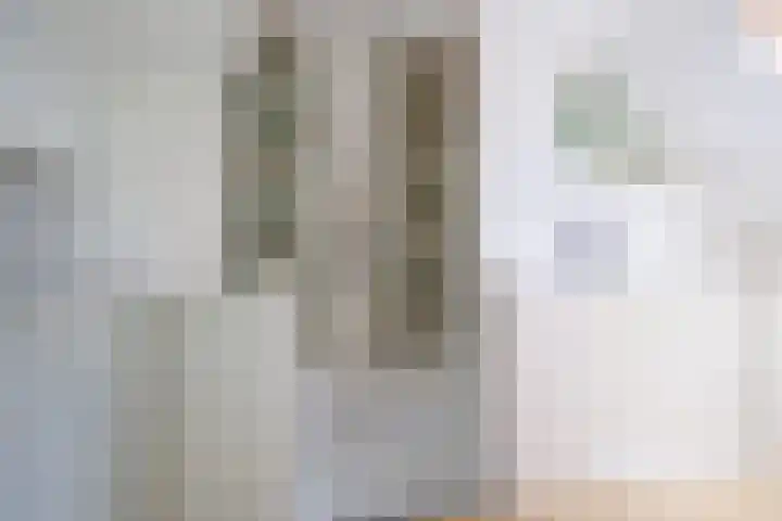 Vechtsteen 35 Wijk bij Duurstede thumbnail 46