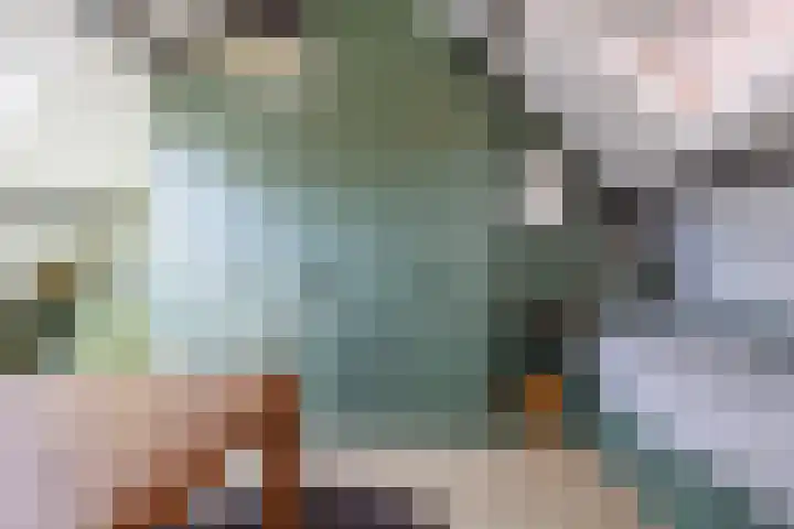 Vechtsteen 35 Wijk bij Duurstede thumbnail 47