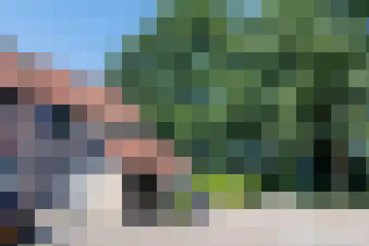 Vechtsteen 35 Wijk bij Duurstede thumbnail 5