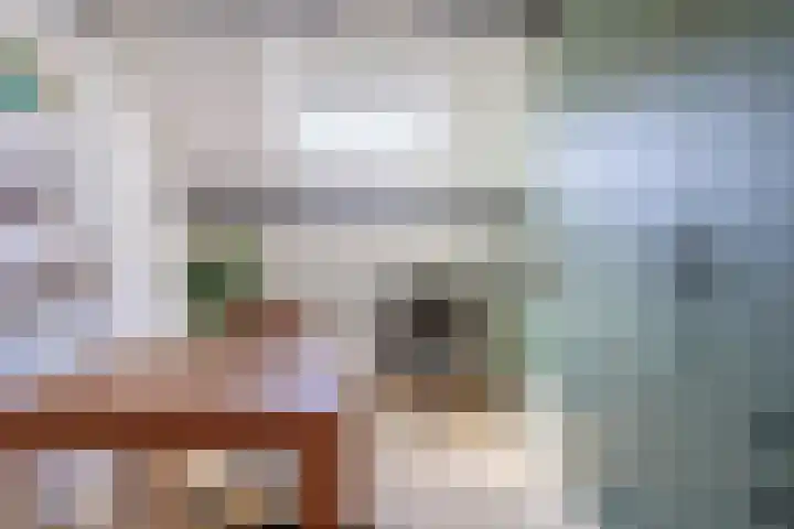 Vechtsteen 35 Wijk bij Duurstede thumbnail 50