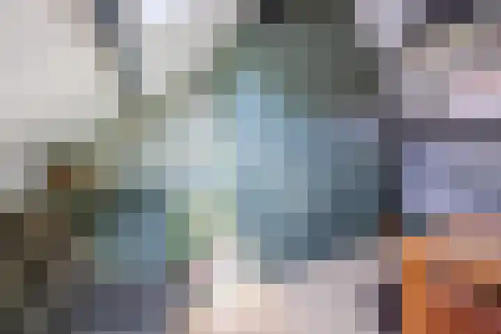 Vechtsteen 35 Wijk bij Duurstede thumbnail 51