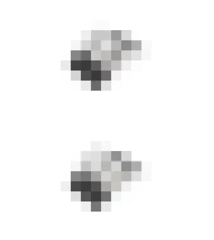 Vechtsteen 35 Wijk bij Duurstede thumbnail 55