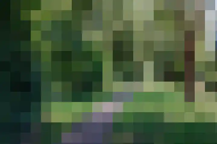 Vechtsteen 35 Wijk bij Duurstede thumbnail 56