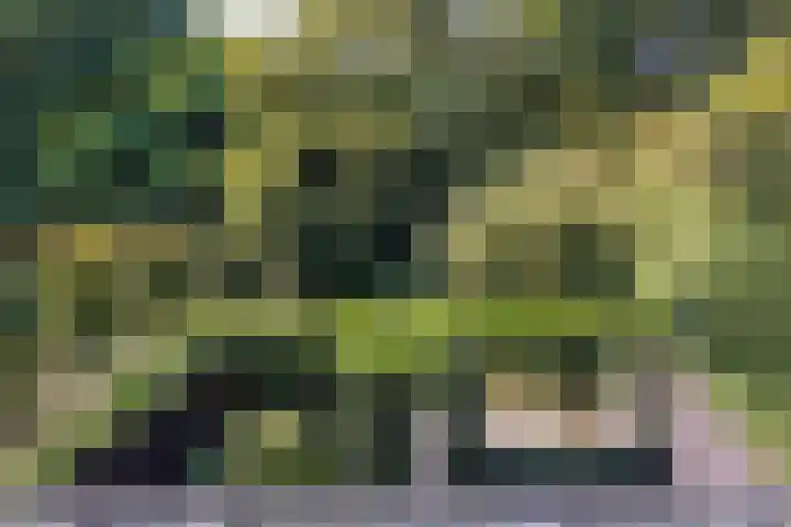 Vechtsteen 35 Wijk bij Duurstede thumbnail 57