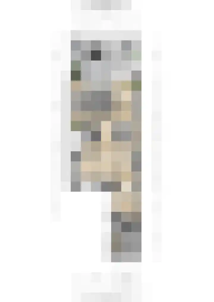 Vechtsteen 35 Wijk bij Duurstede thumbnail 59