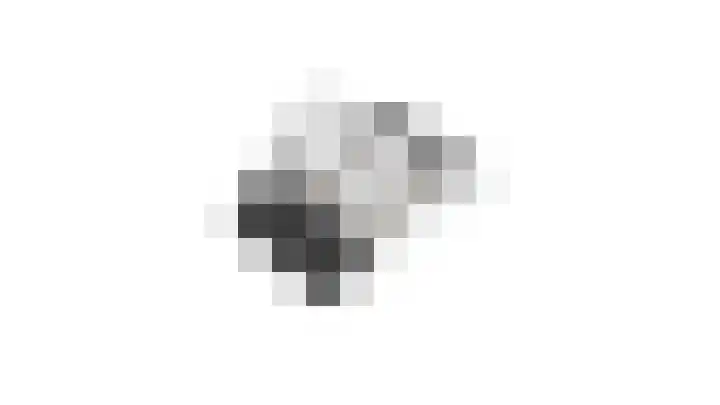Vechtsteen 35 Wijk bij Duurstede thumbnail 69