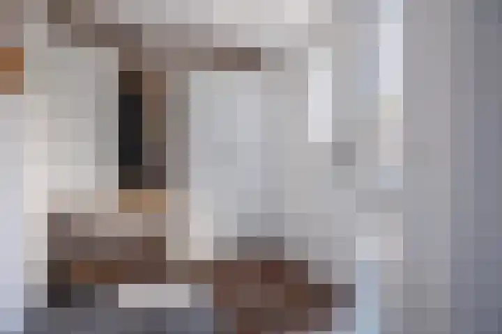 Vechtsteen 35 Wijk bij Duurstede thumbnail 7