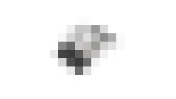 Vechtsteen 35 Wijk bij Duurstede thumbnail 70