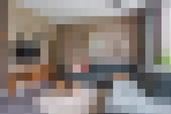 Vechtsteen 35 Wijk bij Duurstede thumbnail 8