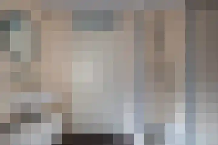 Vechtsteen 40 Wijk bij Duurstede thumbnail 10