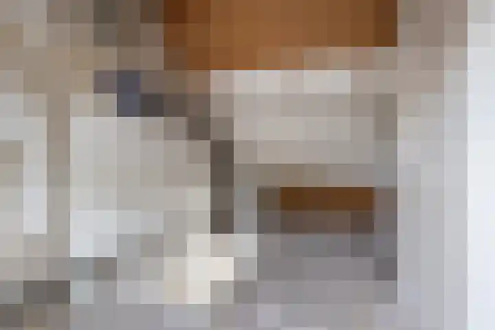 Vechtsteen 40 Wijk bij Duurstede thumbnail 13