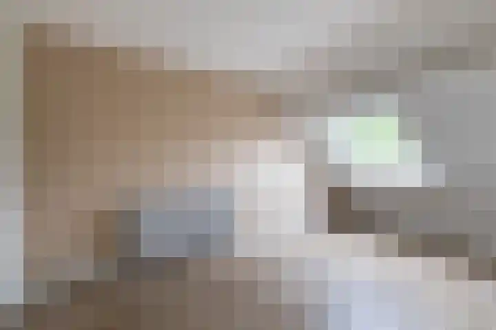 Vechtsteen 40 Wijk bij Duurstede thumbnail 14