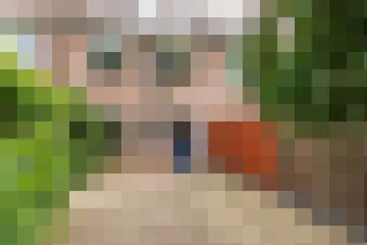 Vechtsteen 40 Wijk bij Duurstede thumbnail 15
