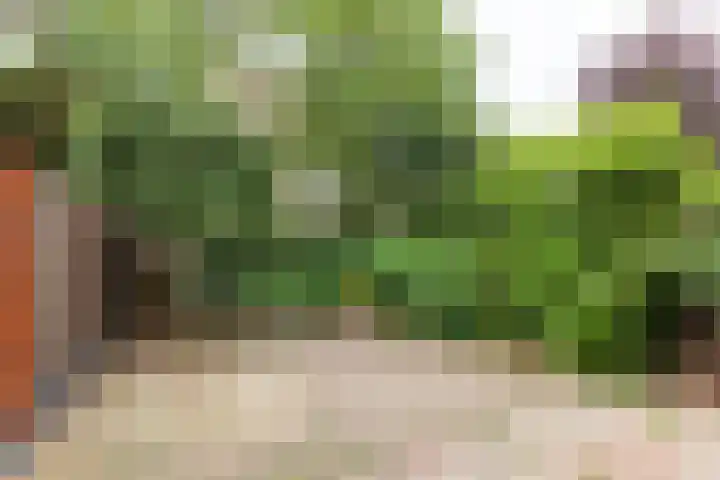 Vechtsteen 40 Wijk bij Duurstede thumbnail 16