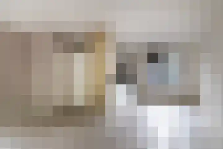Vechtsteen 40 Wijk bij Duurstede thumbnail 4