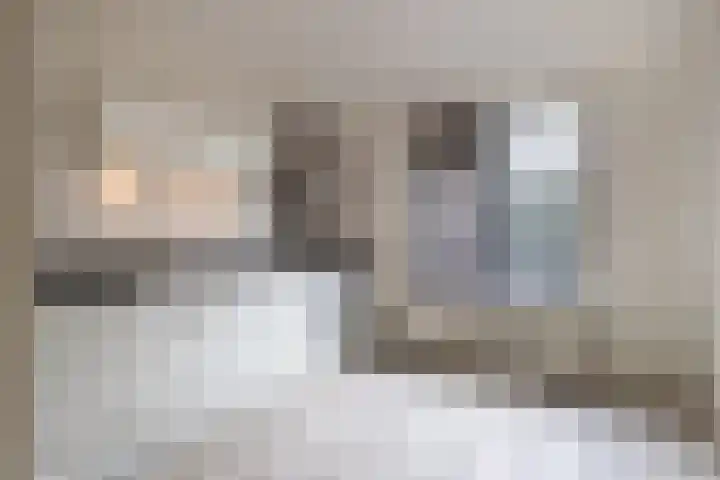 Vechtsteen 40 Wijk bij Duurstede thumbnail 5