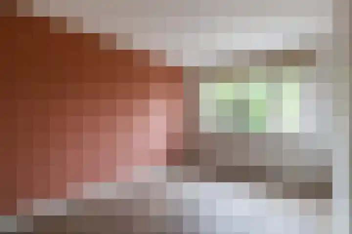 Vechtsteen 40 Wijk bij Duurstede thumbnail 7