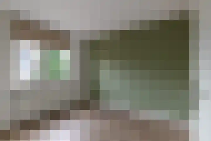 Vechtsteen 40 Wijk bij Duurstede thumbnail 8