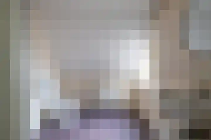 Vechtsteen 40 Wijk bij Duurstede thumbnail 9