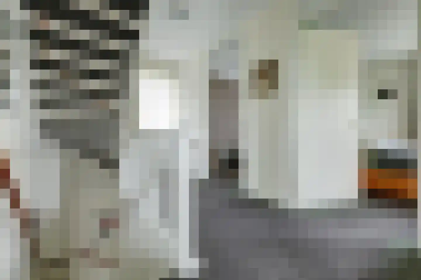 Vechtstraat 1 Winterswijk thumbnail 25