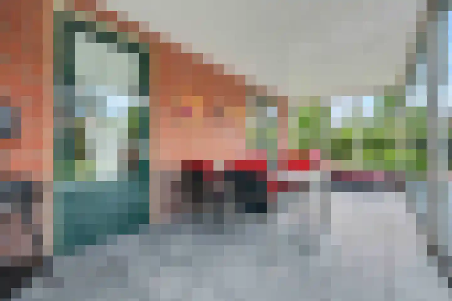 Vechtstraat 1 Winterswijk thumbnail 40