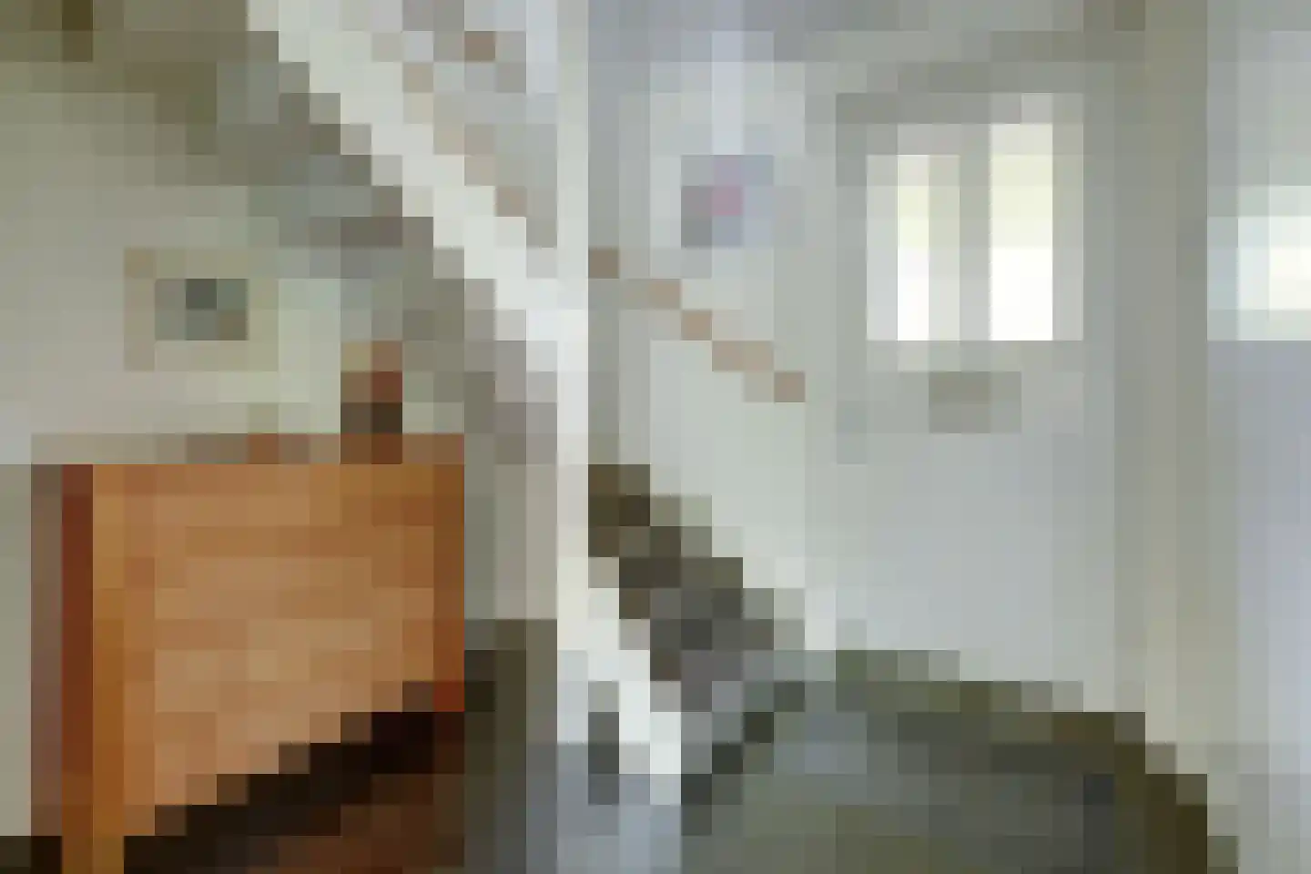 Vechtstraat 1 Winterswijk thumbnail 8