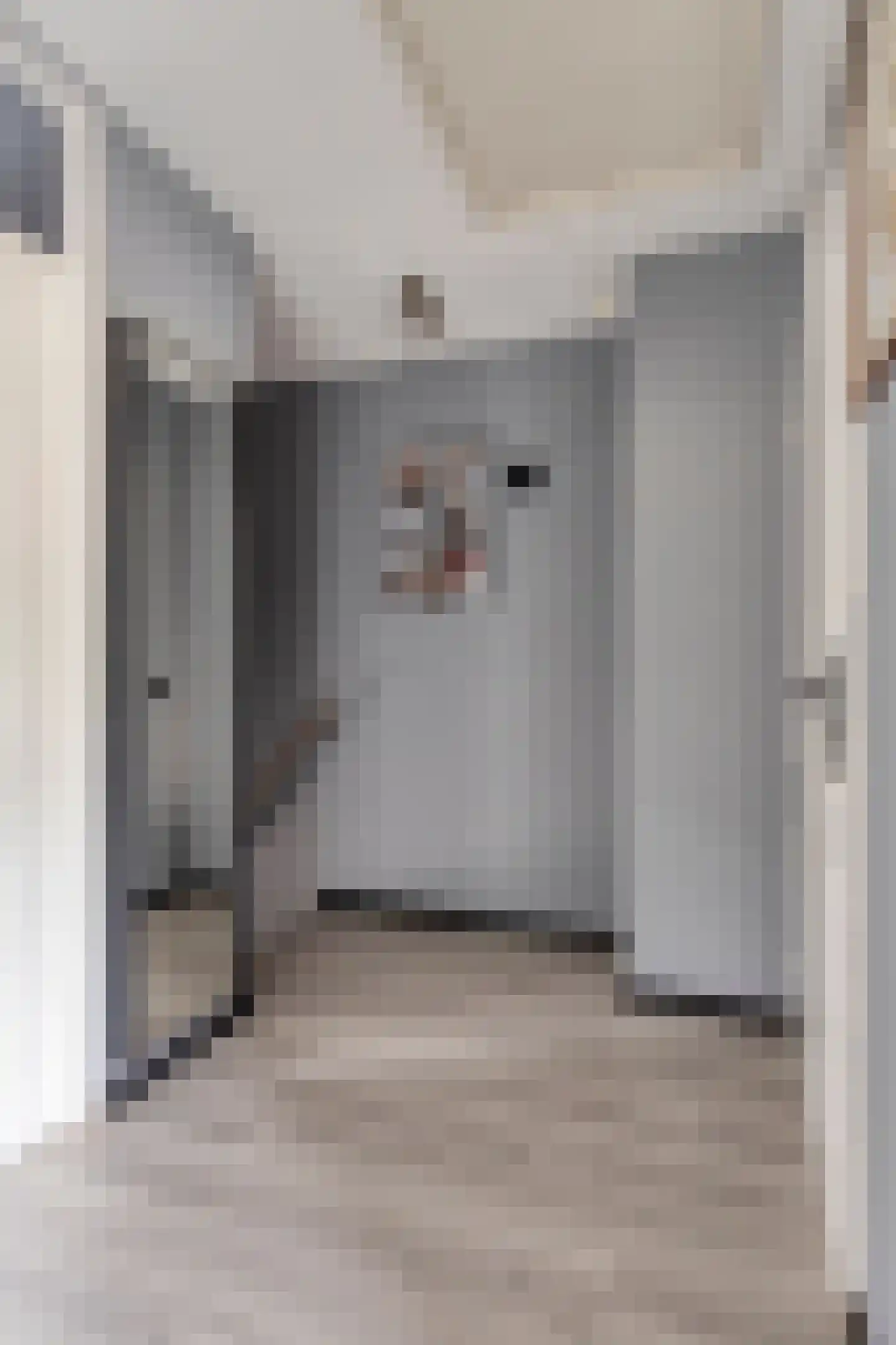 Vechtstraat 11 Helmond thumbnail 22
