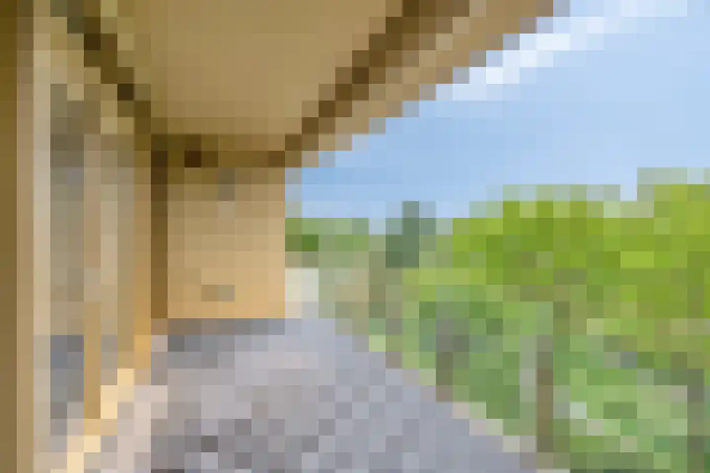 Vechtstraat 116 Groningen thumbnail 11