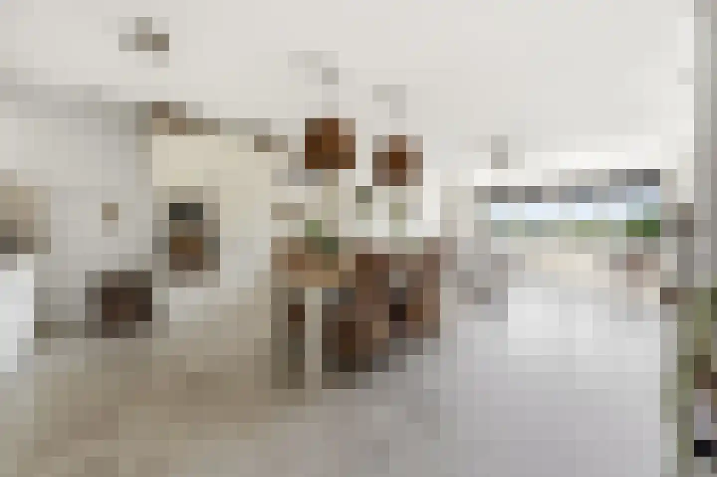 Vechtstraat 117 Ridderkerk thumbnail 10