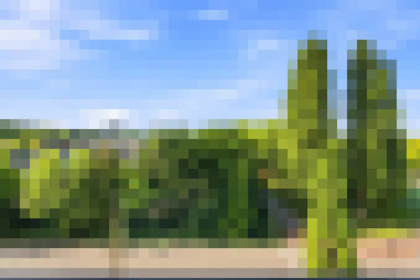 Vechtstraat 117 Ridderkerk thumbnail 5