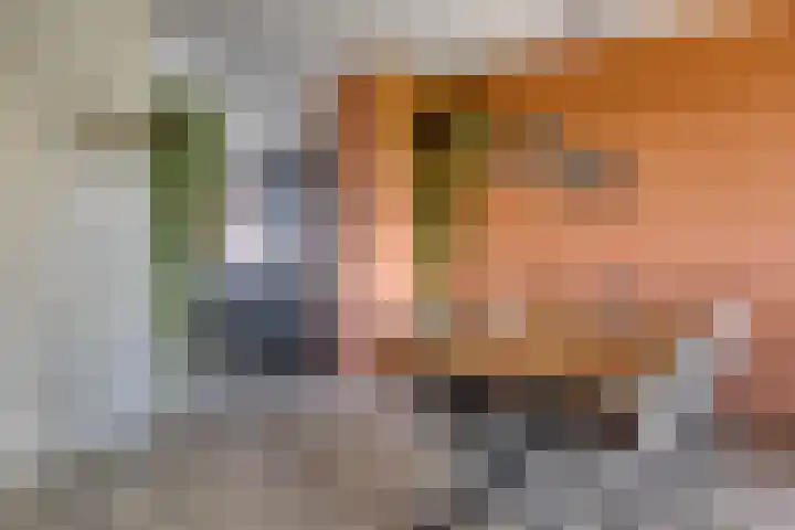 Vechtstraat 12 Alkmaar thumbnail 12