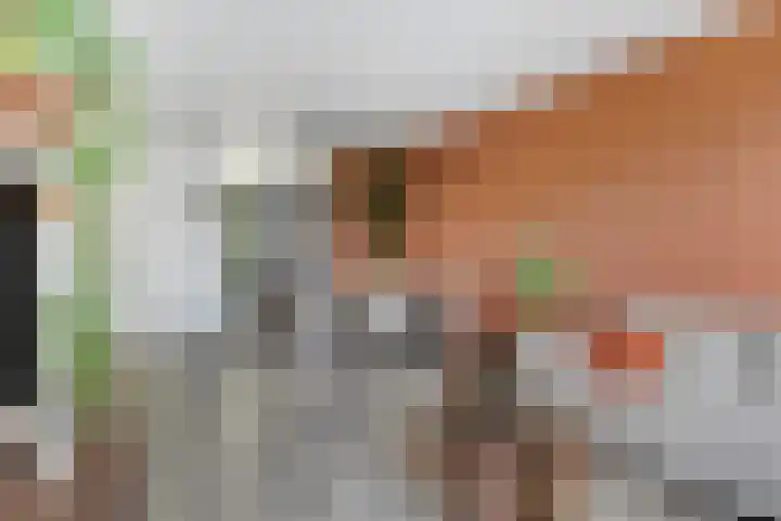 Vechtstraat 12 Alkmaar thumbnail 15