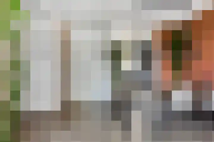 Vechtstraat 12 Alkmaar thumbnail 16