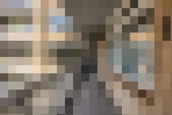 Vechtstraat 12 Alkmaar thumbnail 33