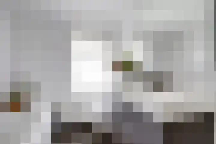 Vechtstraat 12 Nieuwegein thumbnail 20