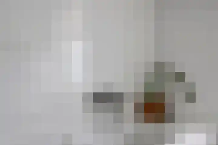 Vechtstraat 12 Nieuwegein thumbnail 21