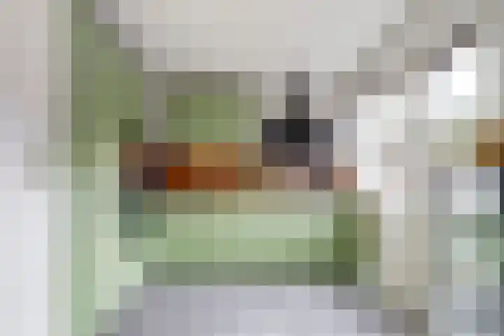 Vechtstraat 12 Nieuwegein thumbnail 5