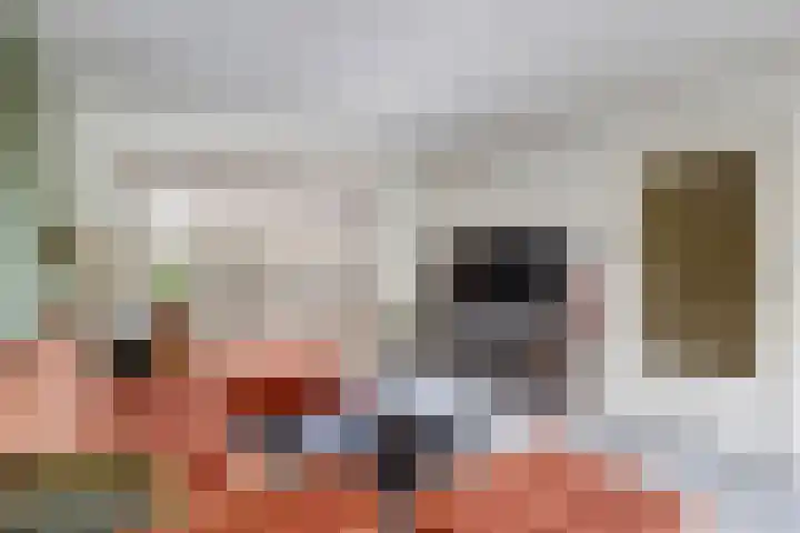 Vechtstraat 12 Nieuwegein thumbnail 8